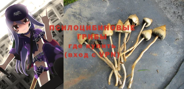 бошки Нефтекумск