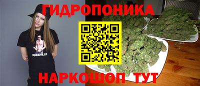 альфа пвп Аргун