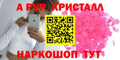 стафф Дубна
