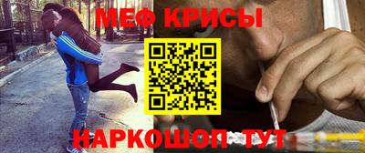 стафф Дубна