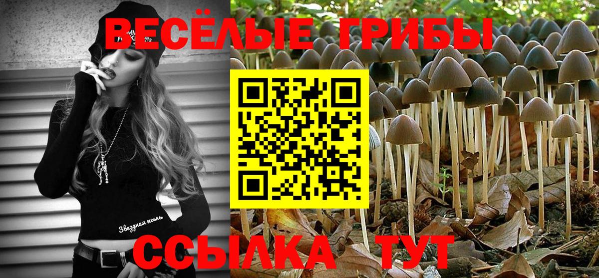 Галлюциногенные грибы Cubensis  Симферополь 