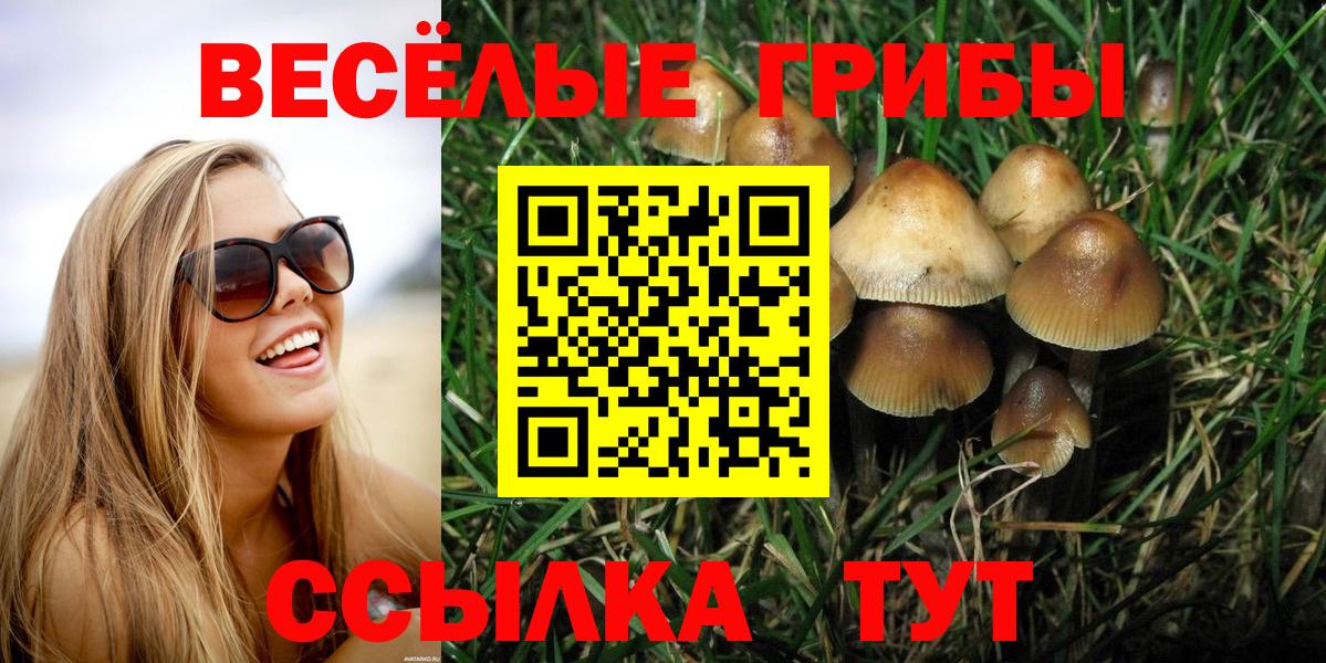 Псилоцибиновые грибы Psilocybe Симферополь