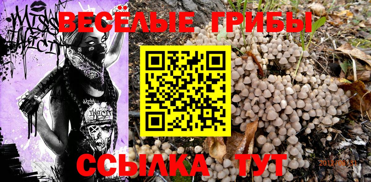 Симферополь  Псилоцибиновые грибы ЛСД  Вход с VPN  Псилоцибиновые грибы мухоморы 